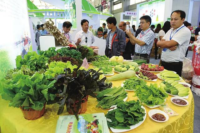 我市在第十九屆中國(guó)綠博會(huì)上斬獲佳績(jī) 初級(jí)農(nóng)產(chǎn)品成亮點(diǎn)